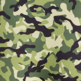 Camuflada
